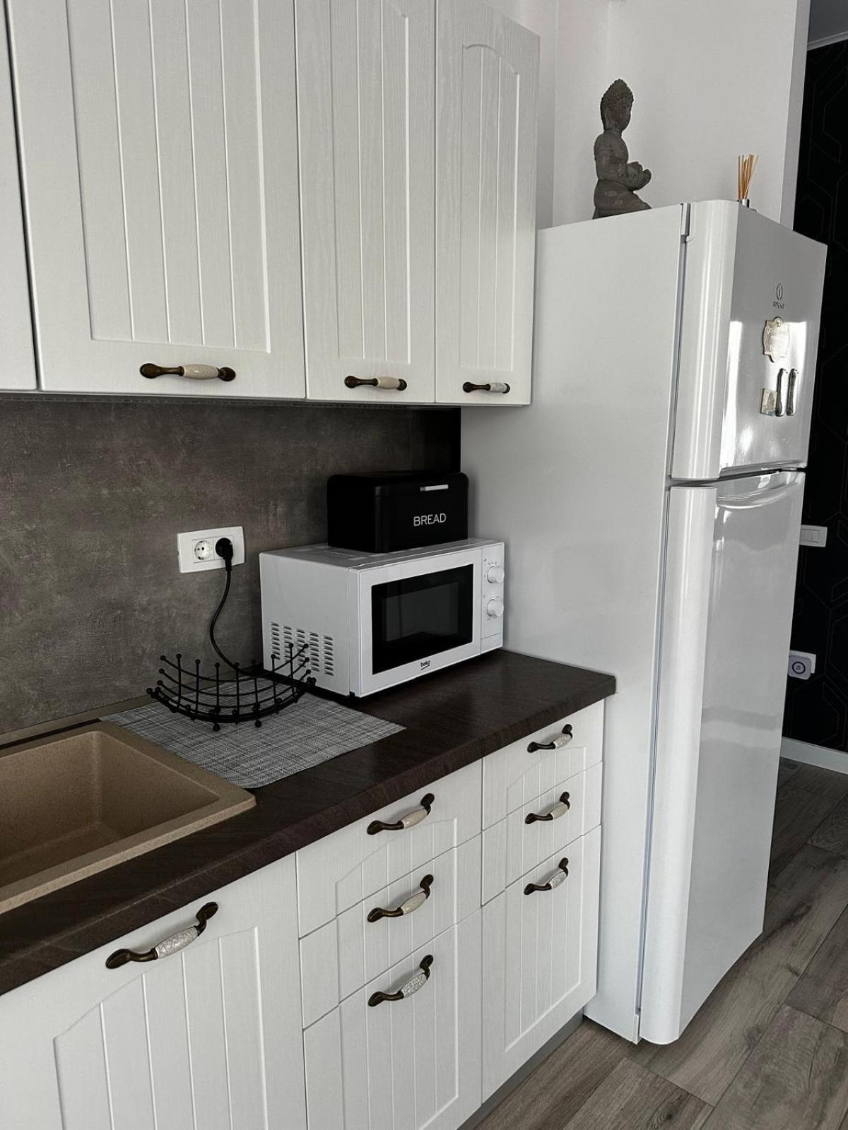 Best Apartment Mamaia Nord ナボダリ エクステリア 写真